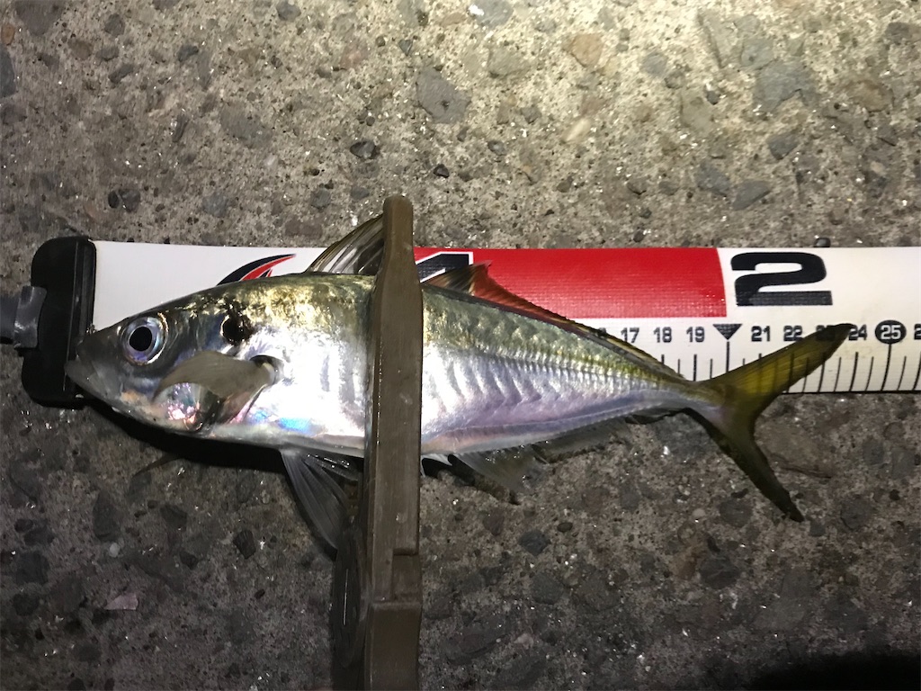 f:id:esojima3:20191220225446j:image