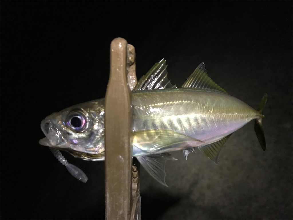 f:id:esojima3:20191220225708j:image