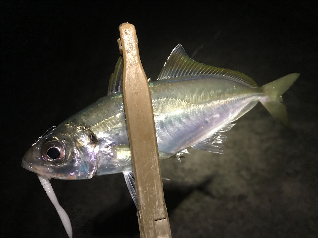 f:id:esojima3:20191220225711j:image