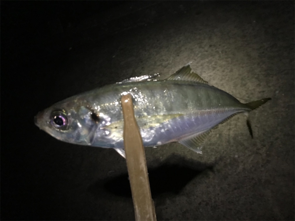 f:id:esojima3:20191220225714j:image