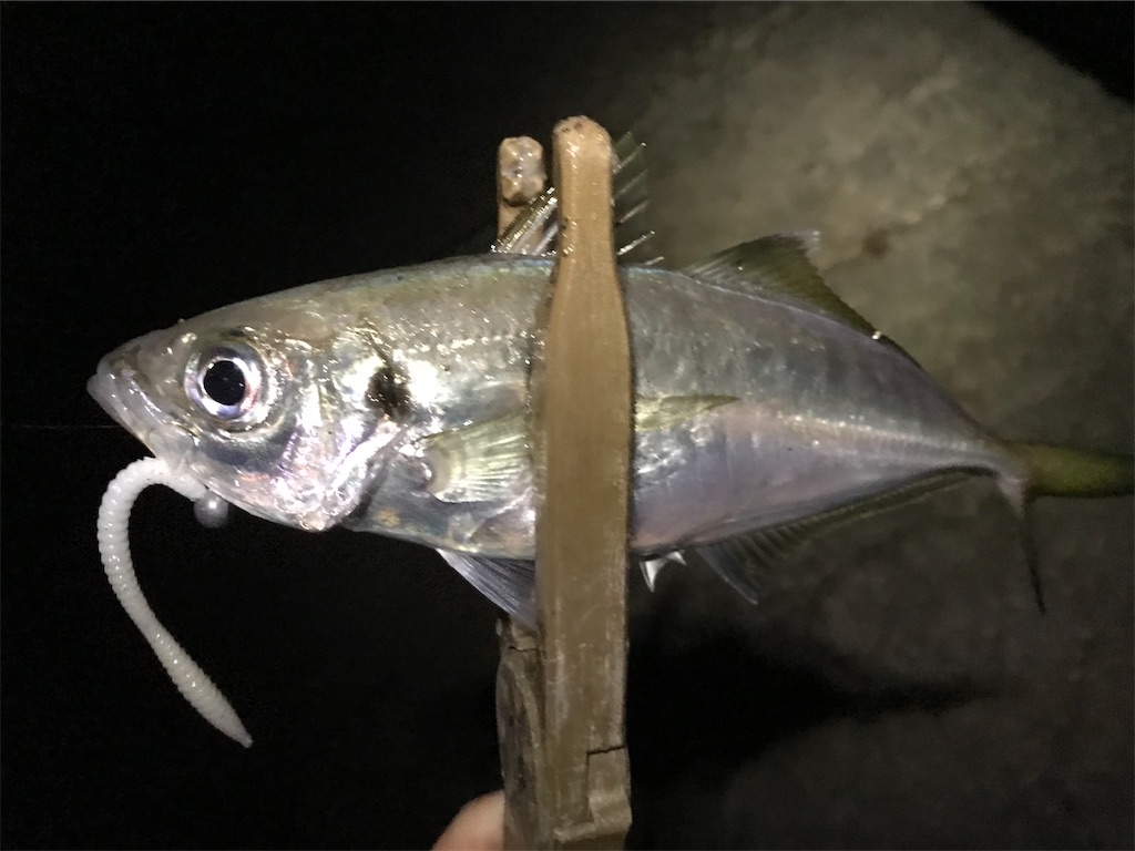 f:id:esojima3:20191220225717j:image
