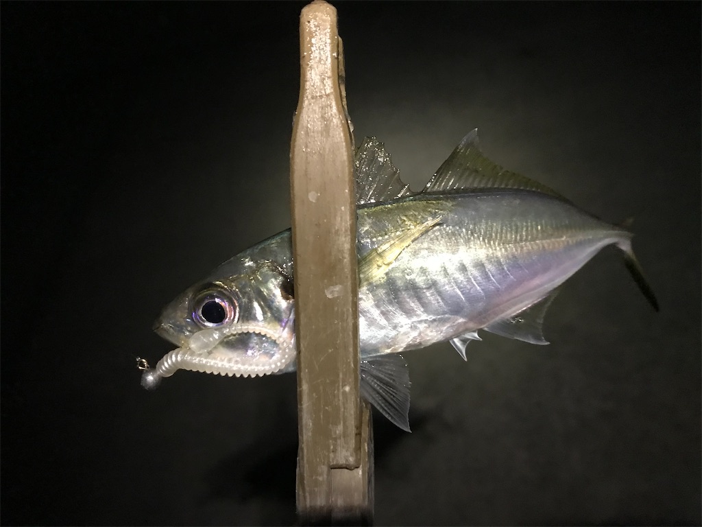 f:id:esojima3:20191220225720j:image