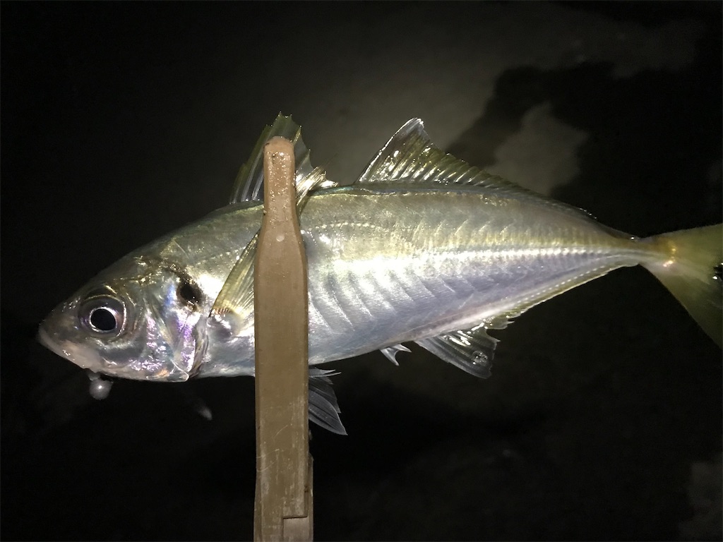 f:id:esojima3:20191220225725j:image
