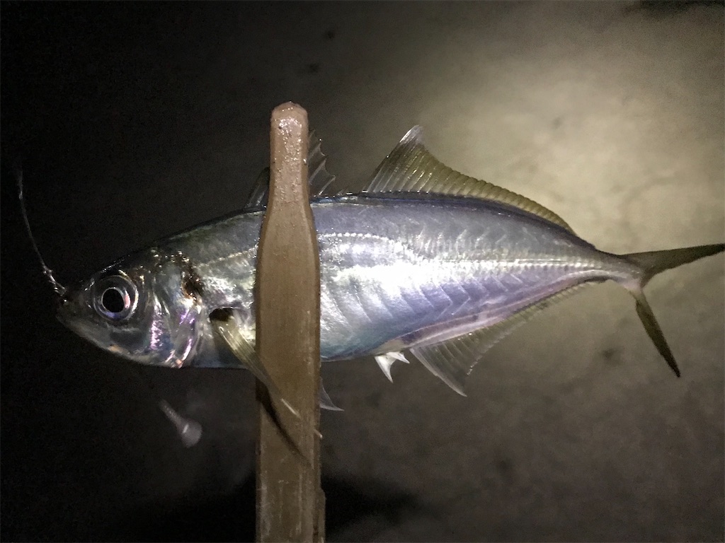 f:id:esojima3:20191220225728j:image