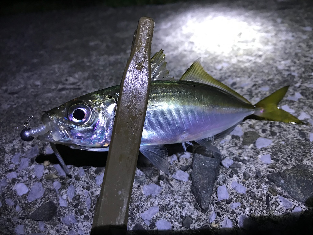 f:id:esojima3:20191222082223j:image f:id:esojima3:20191222082223j:image