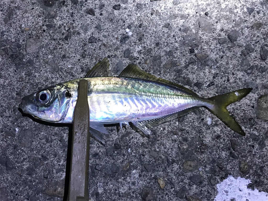 f:id:esojima3:20191222090422j:image f:id:esojima3:20191222090422j:image