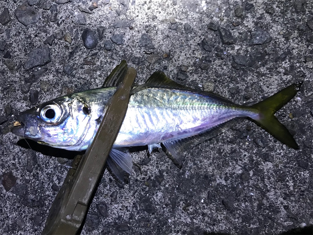 f:id:esojima3:20191222104516j:image f:id:esojima3:20191222104516j:image
