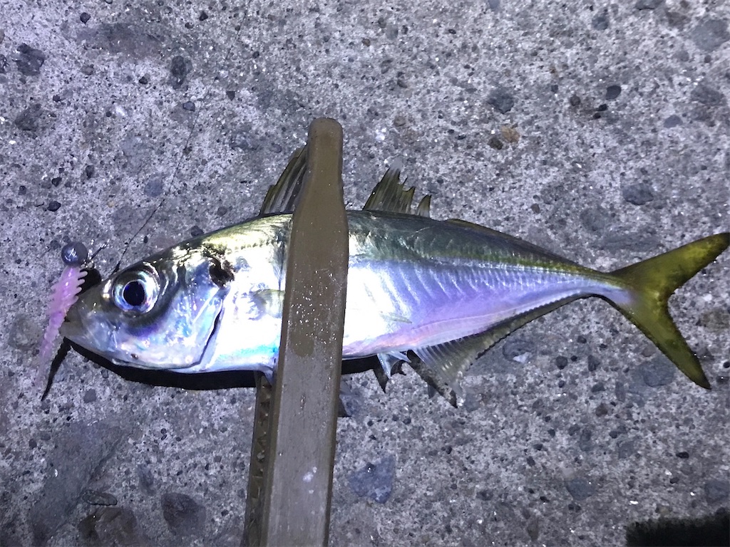 f:id:esojima3:20191222104532j:image f:id:esojima3:20191222104532j:image