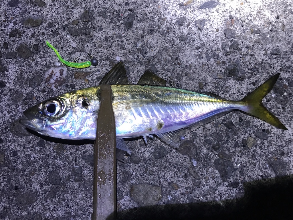 f:id:esojima3:20191222104627j:image f:id:esojima3:20191222104627j:image