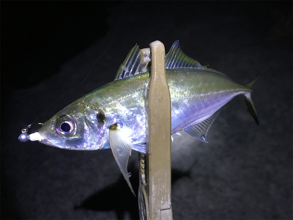f:id:esojima3:20191222143152j:image f:id:esojima3:20191222143152j:image