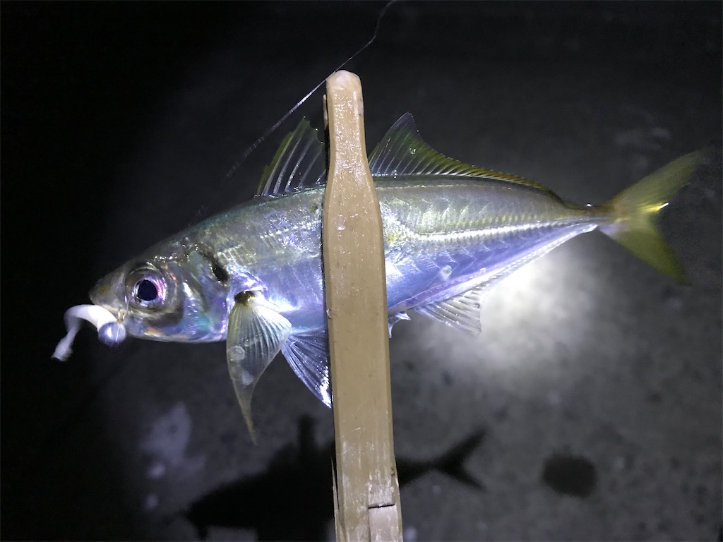 f:id:esojima3:20191222143209j:image f:id:esojima3:20191222143209j:image