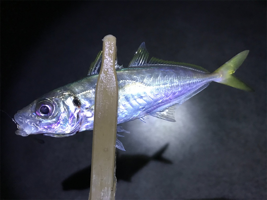 f:id:esojima3:20191222143314j:image f:id:esojima3:20191222143314j:image