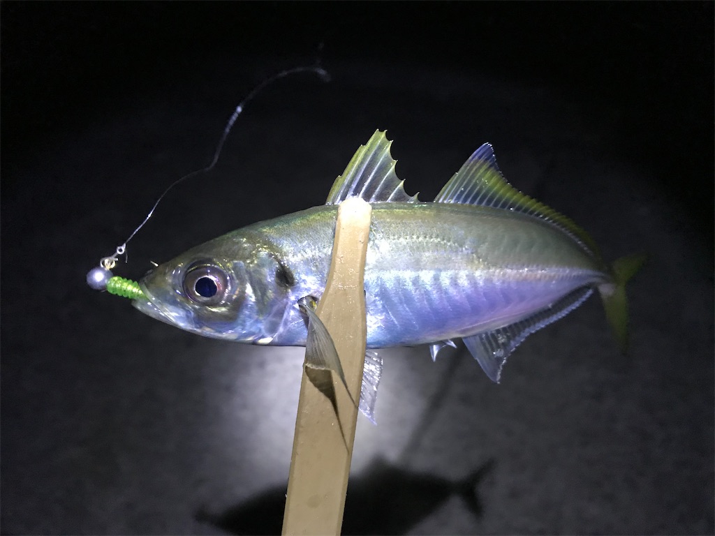 f:id:esojima3:20191222143317j:image f:id:esojima3:20191222143317j:image