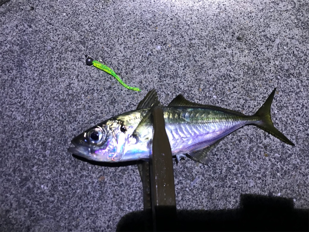 f:id:esojima3:20191222143320j:image f:id:esojima3:20191222143320j:image