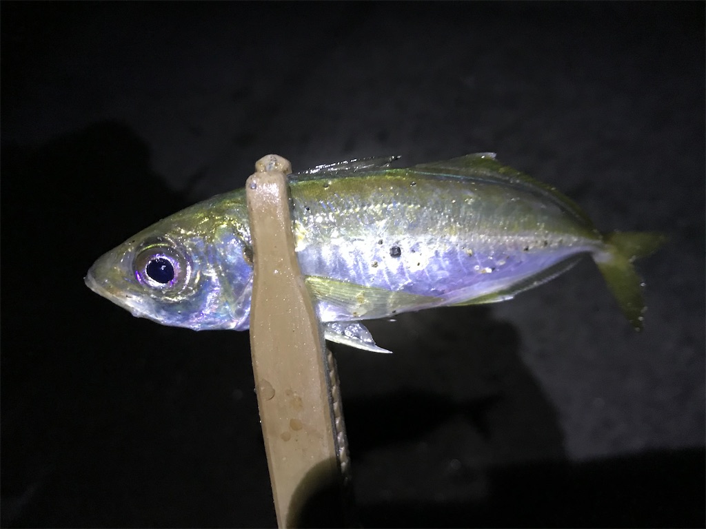 f:id:esojima3:20191224232738j:image f:id:esojima3:20191224232738j:image