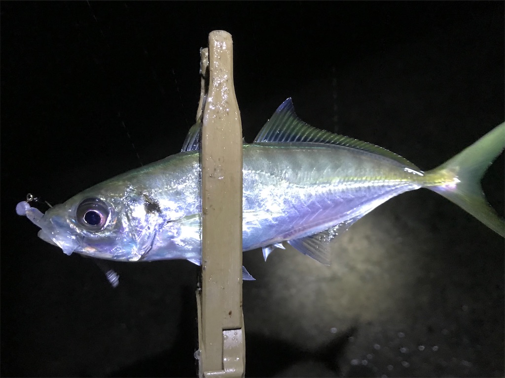 f:id:esojima3:20191225213737j:image f:id:esojima3:20191225213737j:image