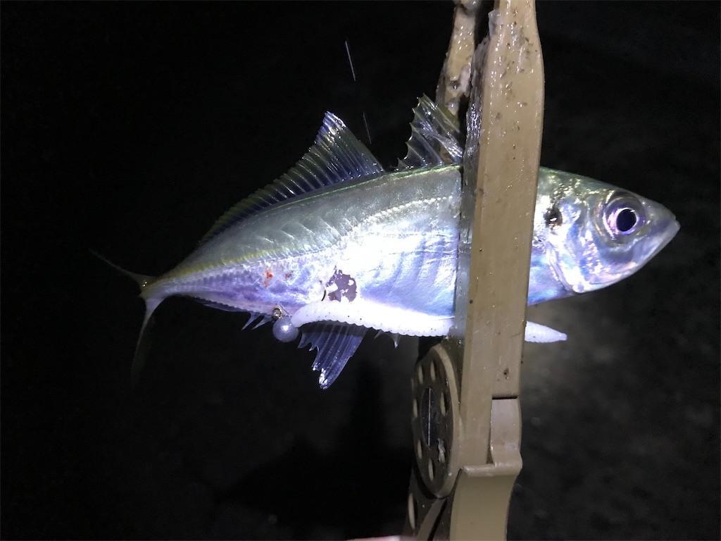 f:id:esojima3:20191225213801j:image f:id:esojima3:20191225213801j:image