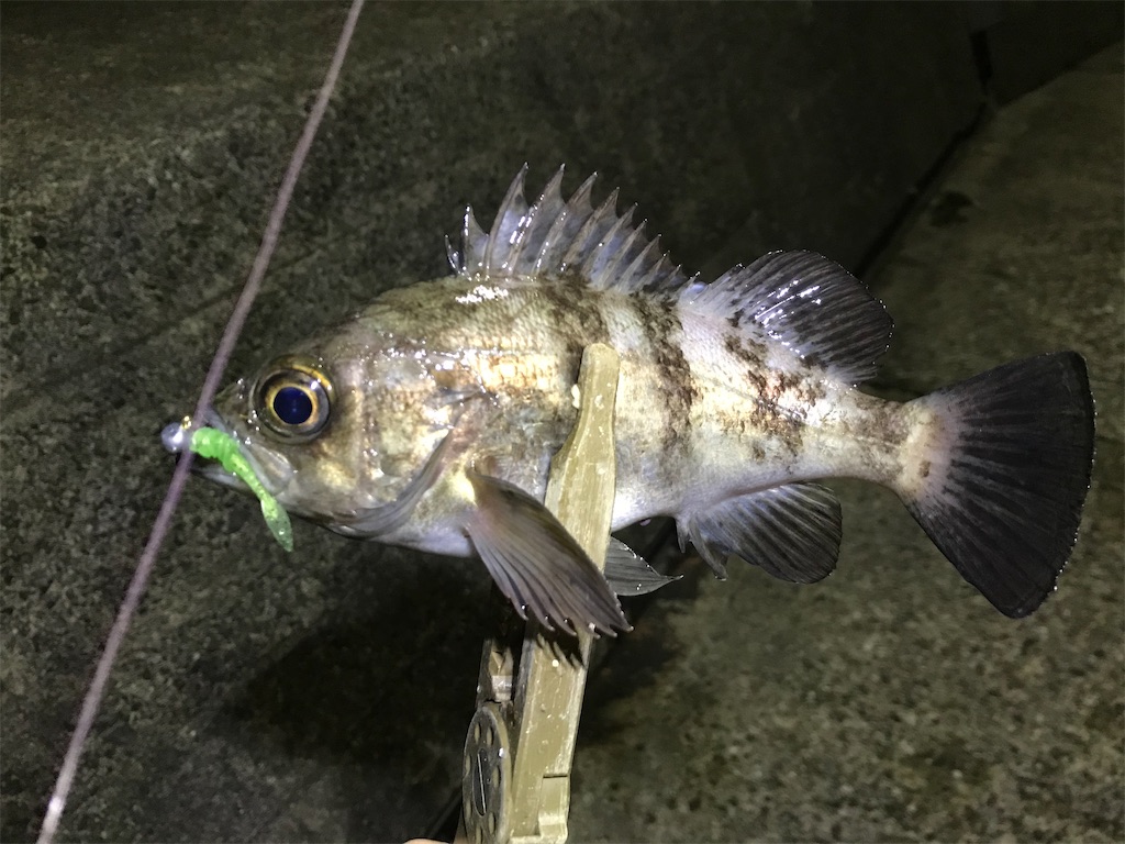 f:id:esojima3:20191228115415j:image