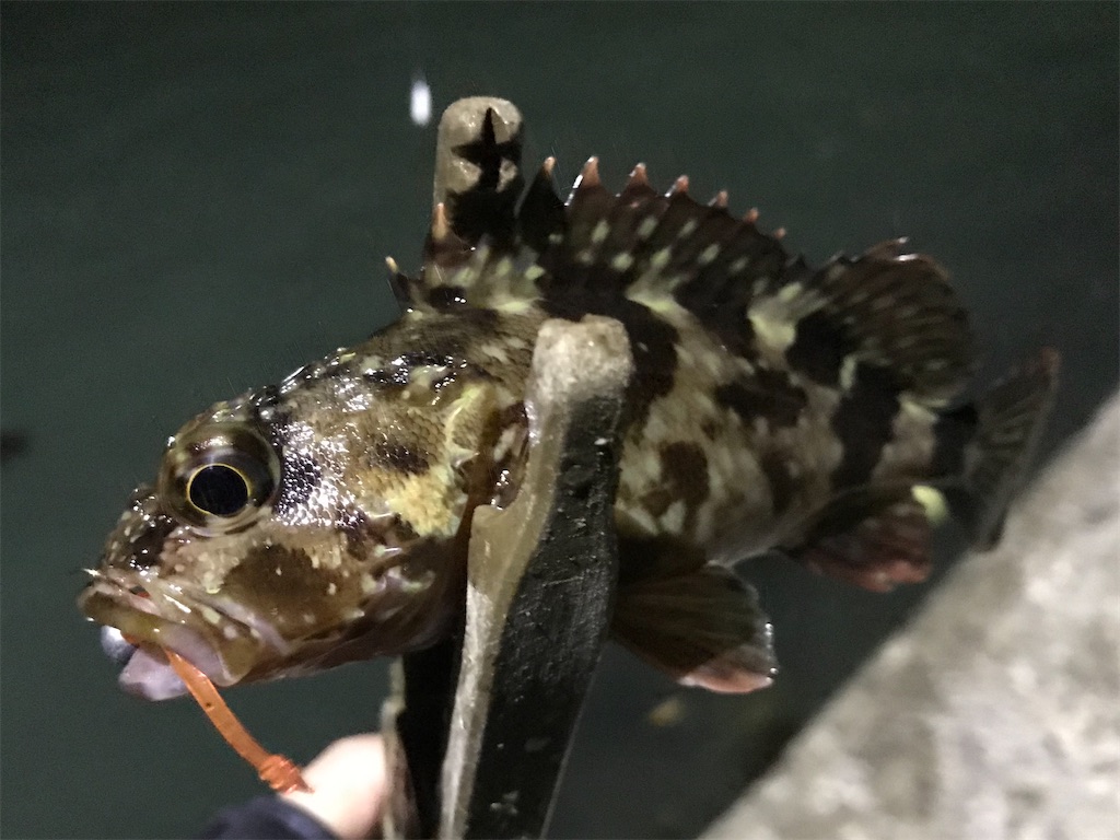 f:id:esojima3:20191228115610j:image