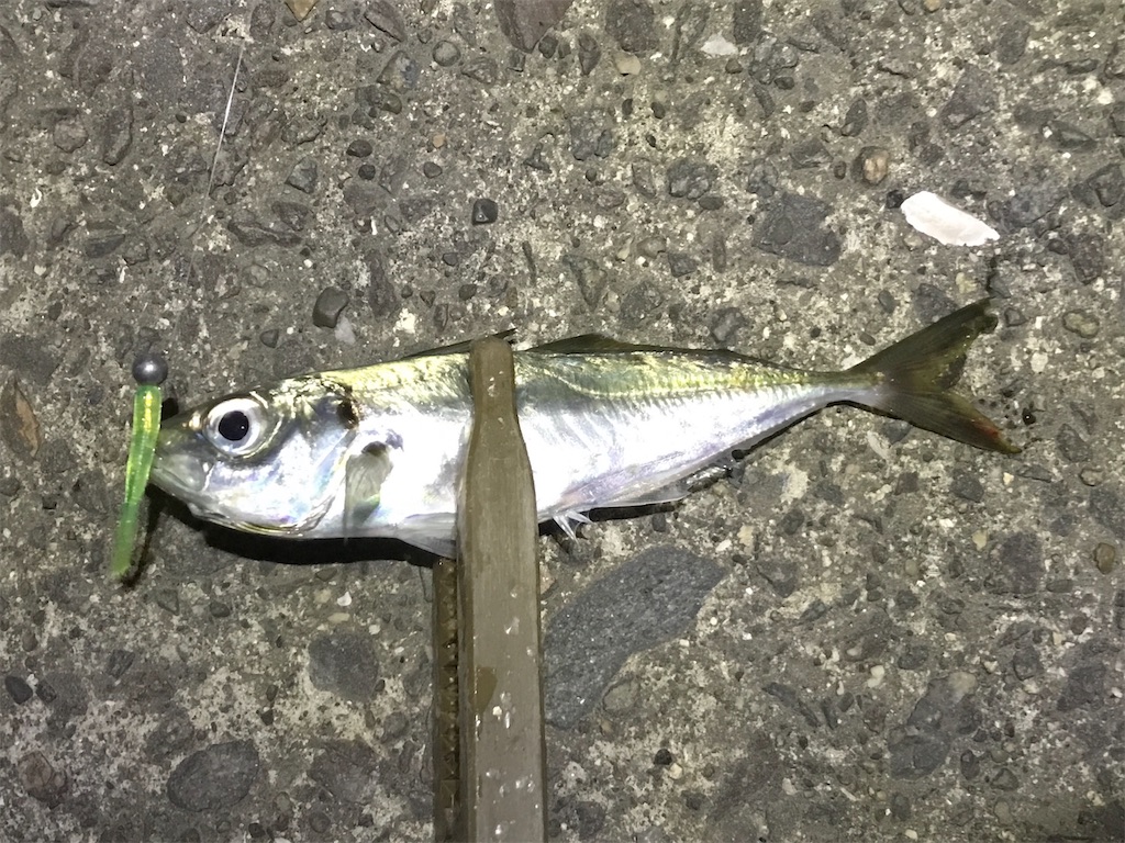 f:id:esojima3:20191228120150j:image