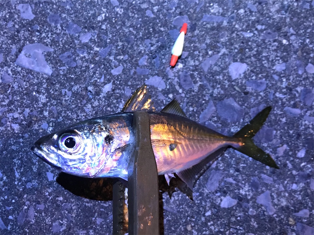 f:id:esojima3:20191229132808j:image