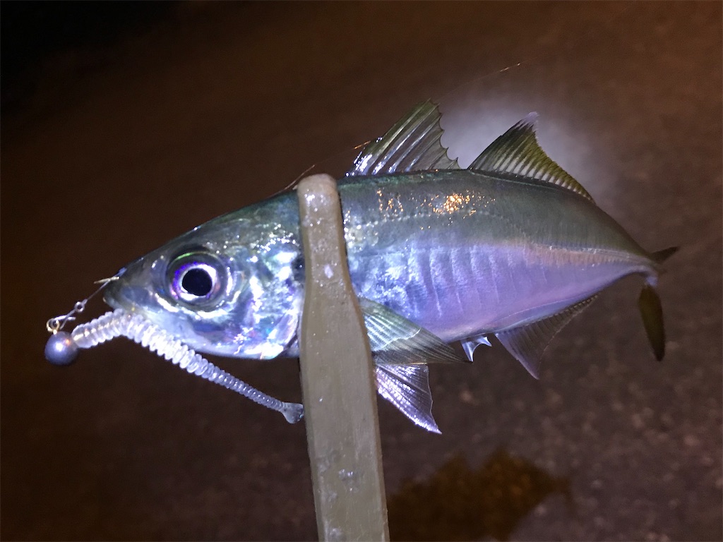 f:id:esojima3:20191229132811j:image