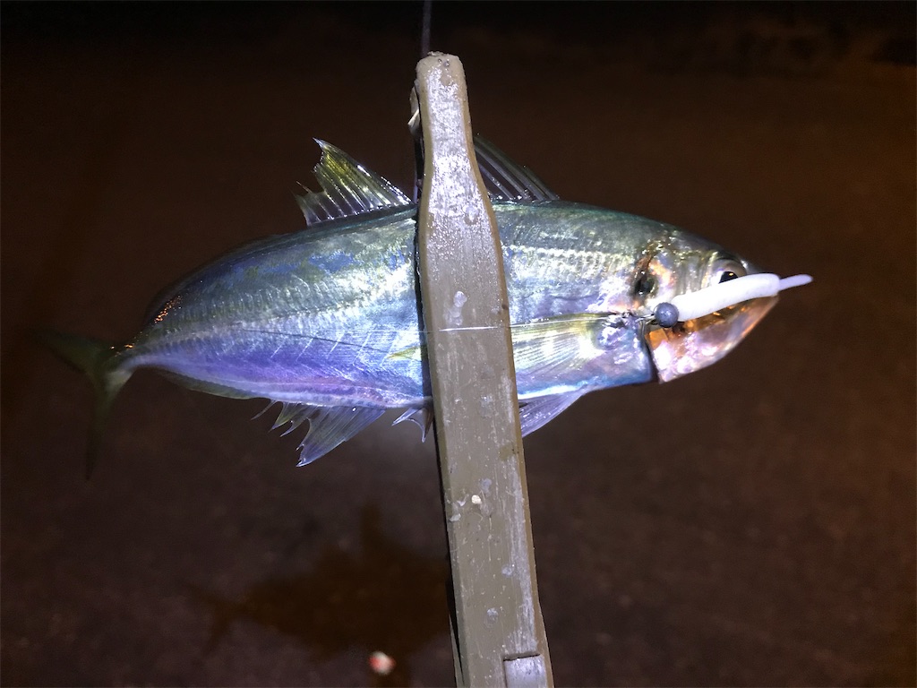 f:id:esojima3:20191229133153j:image