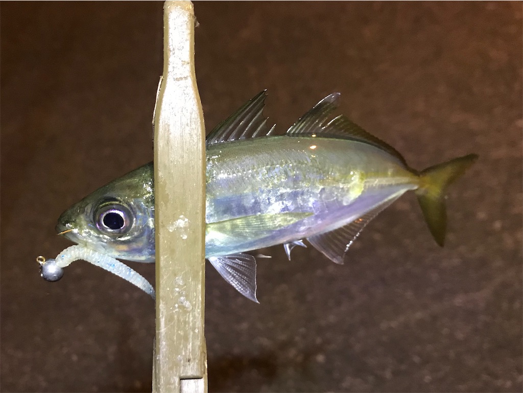 f:id:esojima3:20191229133356j:image