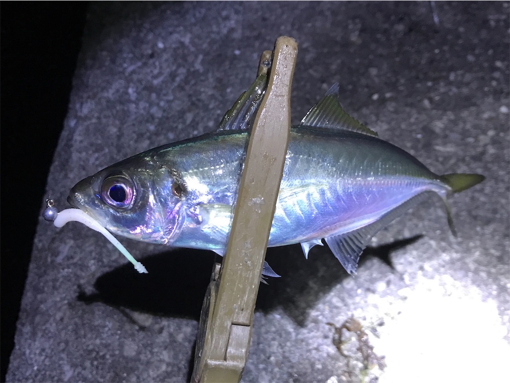 f:id:esojima3:20191229134317j:image
