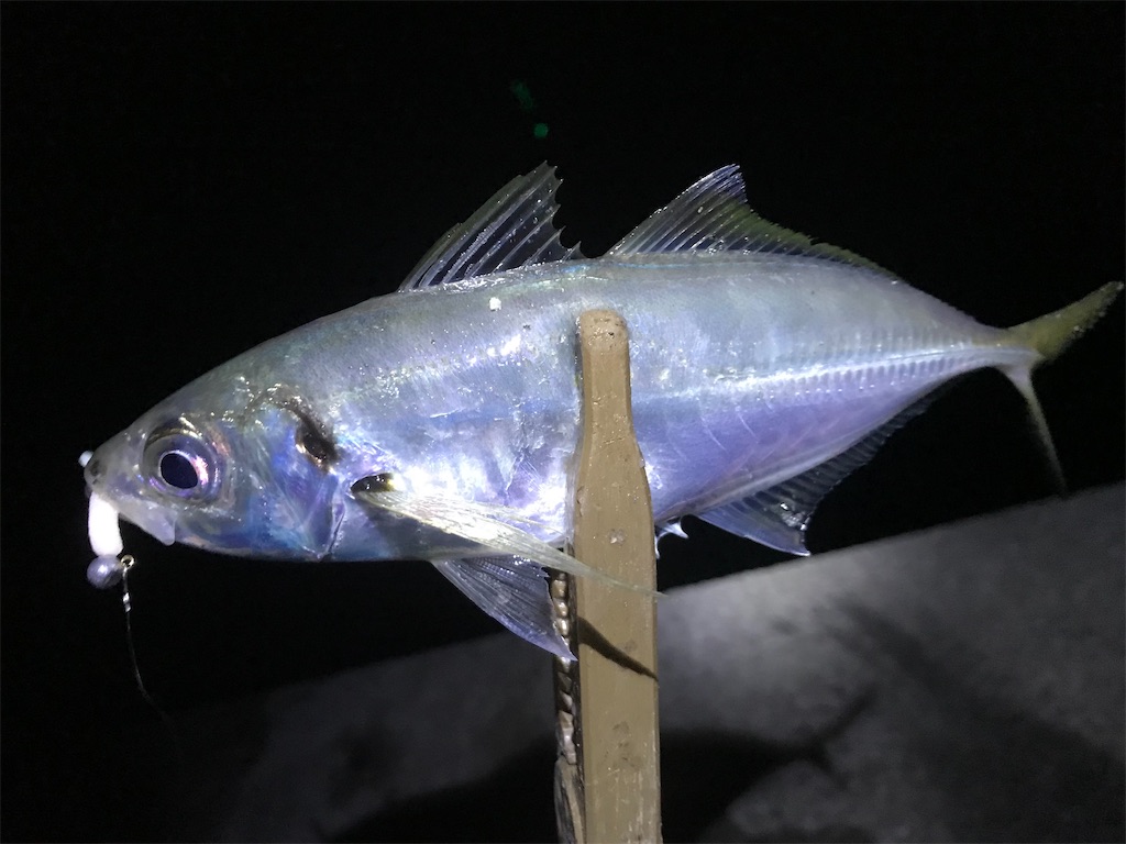 f:id:esojima3:20191229134320j:image