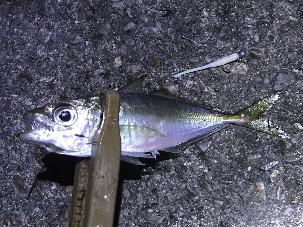f:id:esojima3:20191229134324j:image