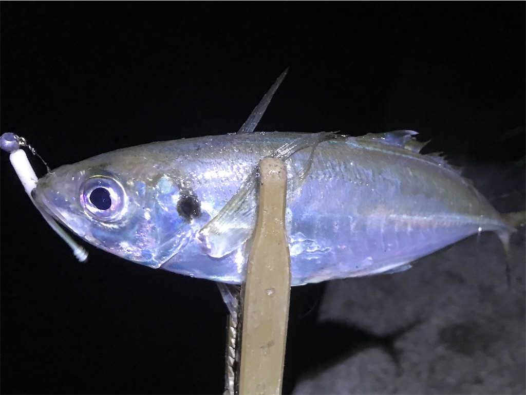 f:id:esojima3:20191229134335j:image