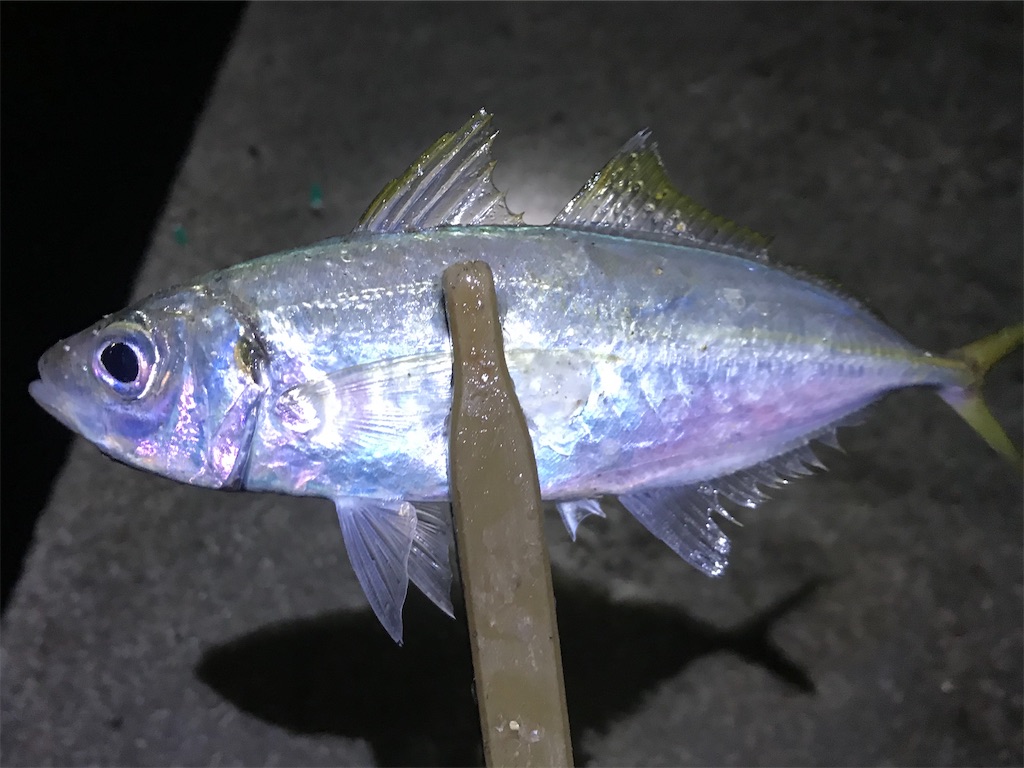 f:id:esojima3:20191229134839j:image