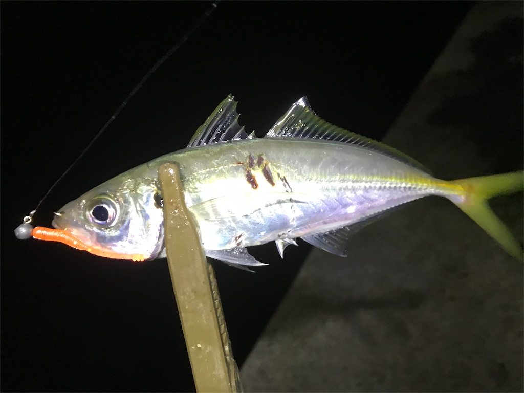 f:id:esojima3:20191229135323j:image