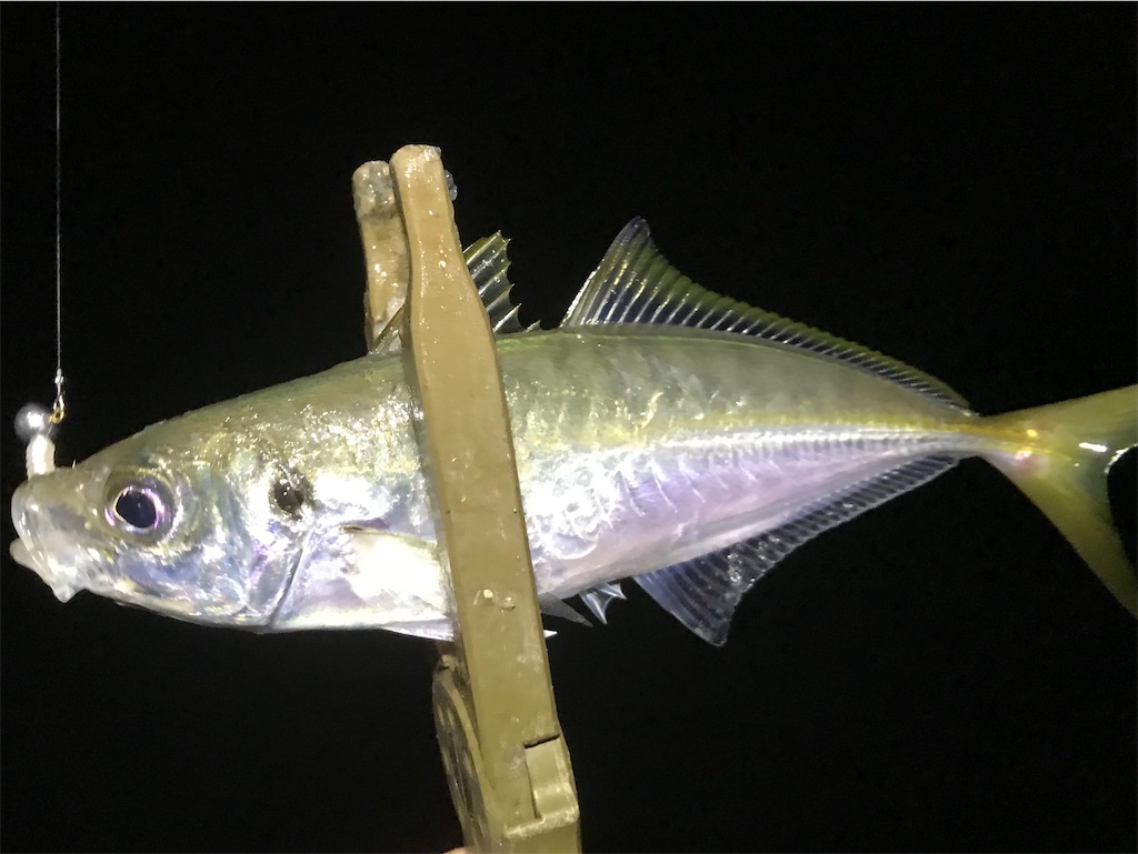f:id:esojima3:20191229135327j:image