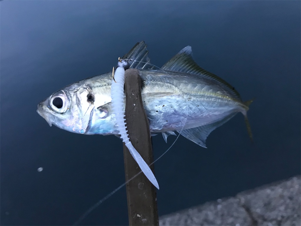 f:id:esojima3:20191230123203j:image