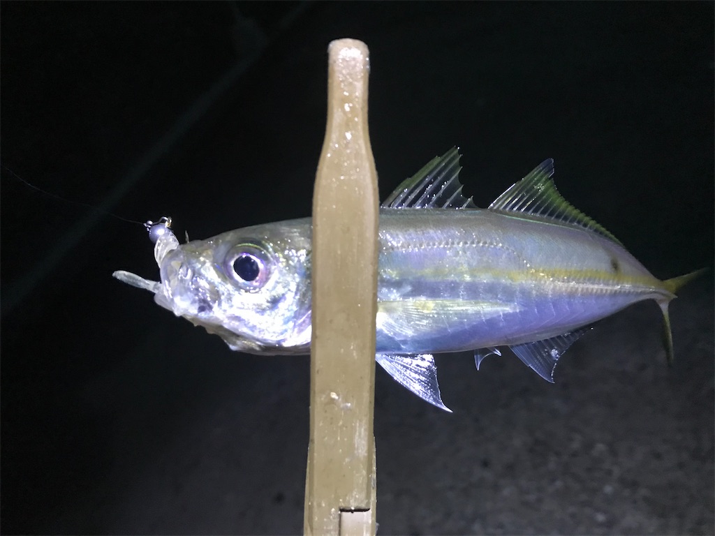 f:id:esojima3:20191230123305j:image