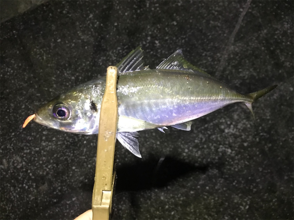 f:id:esojima3:20191230124844j:image