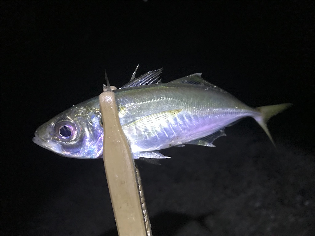 f:id:esojima3:20191230124849j:image