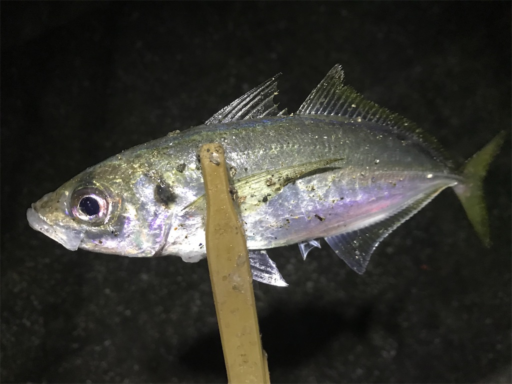 f:id:esojima3:20191230124855j:image