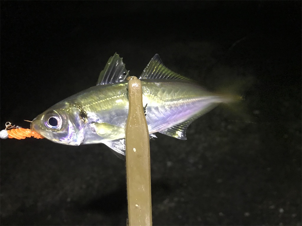 f:id:esojima3:20191230124858j:image
