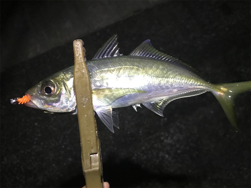 f:id:esojima3:20191230125605j:image