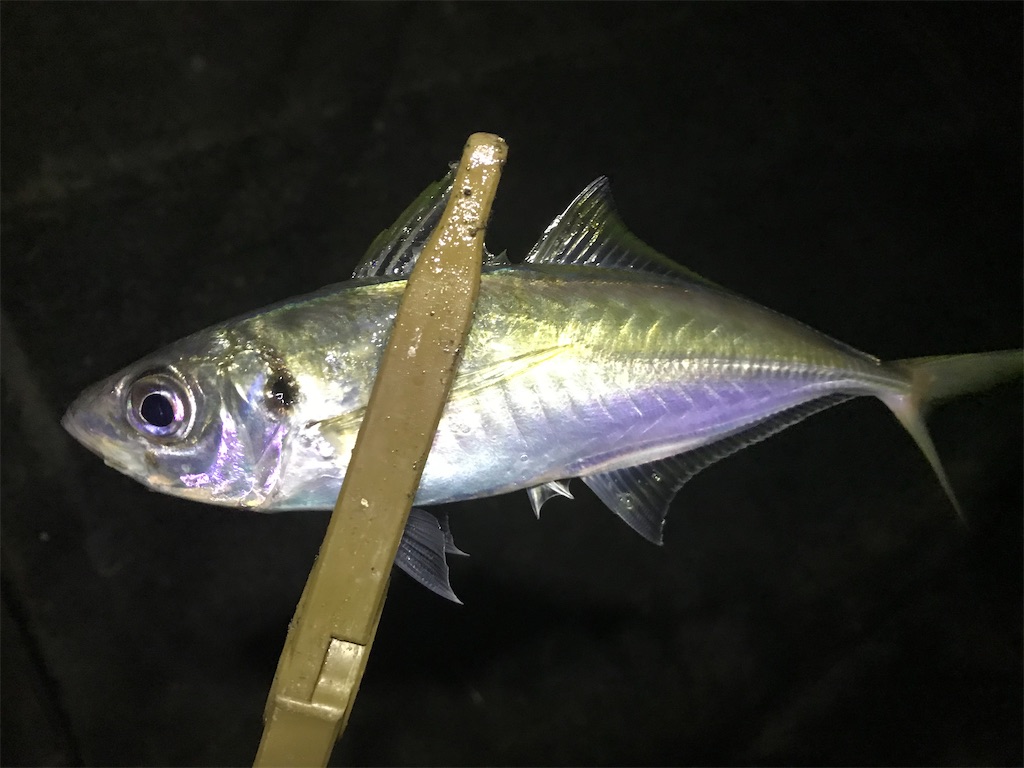 f:id:esojima3:20191230125641j:image