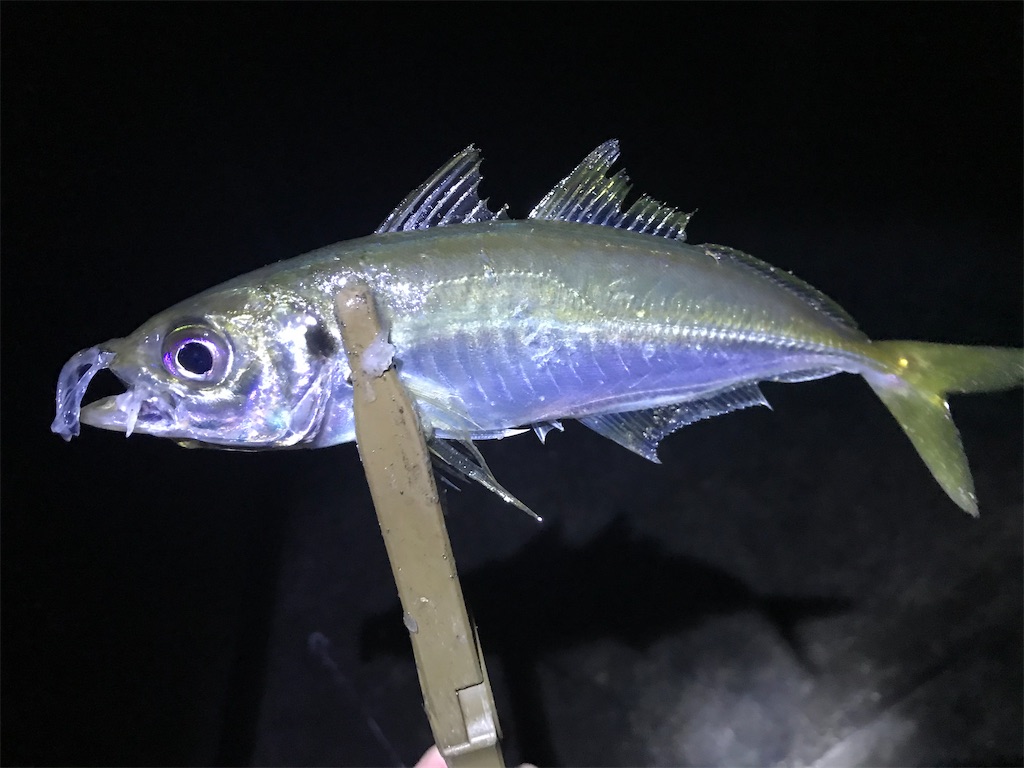 f:id:esojima3:20191230125814j:image