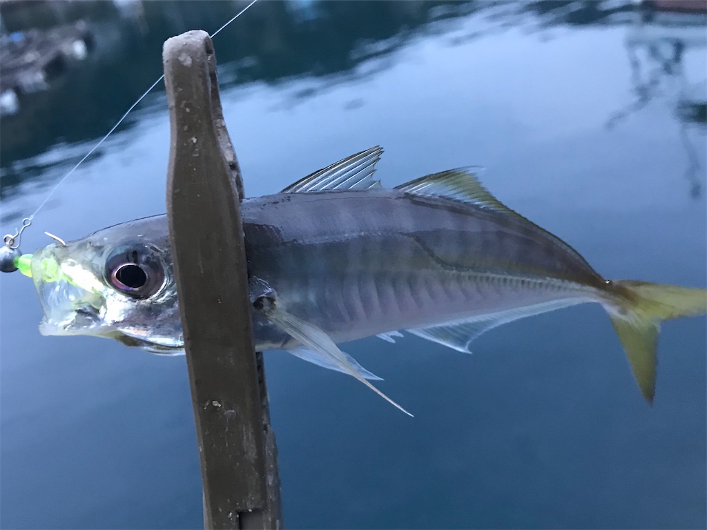 f:id:esojima3:20191230131326j:image