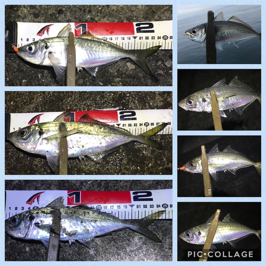 f:id:esojima3:20191230192629j:image f:id:esojima3:20191230192629j:image