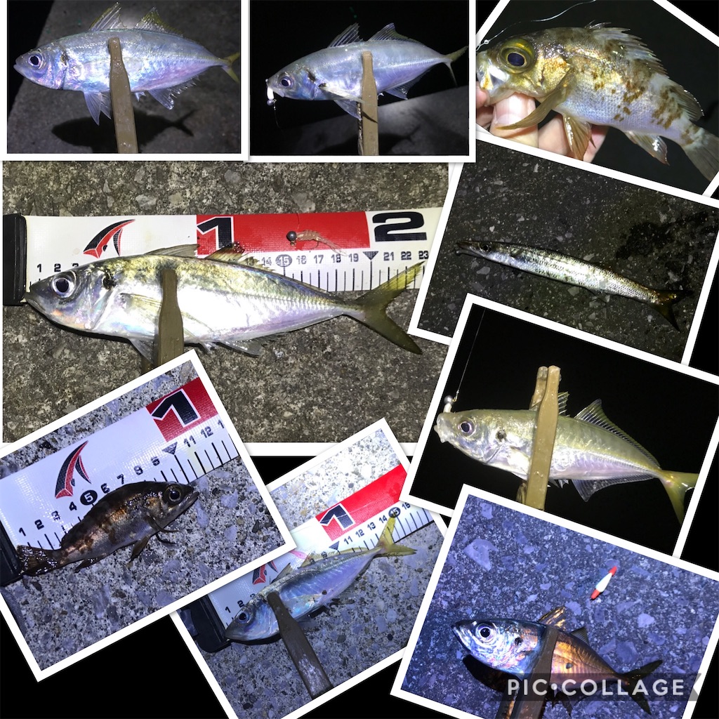 f:id:esojima3:20191230192711j:image f:id:esojima3:20191230192711j:image