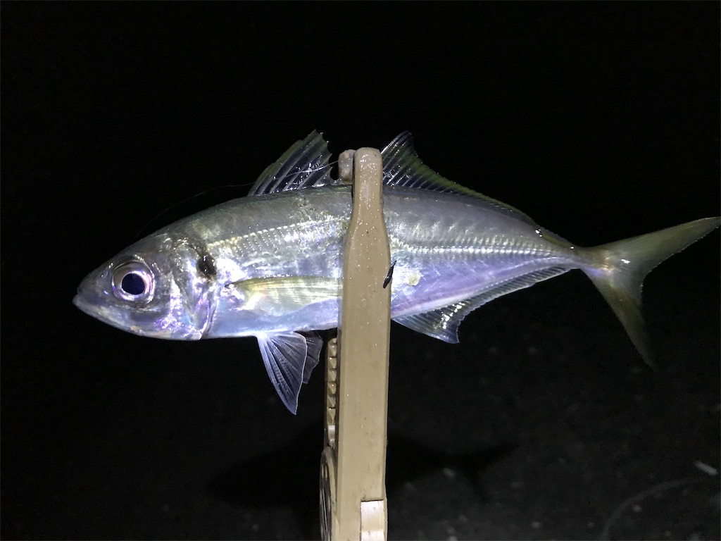 f:id:esojima3:20191231013806j:image