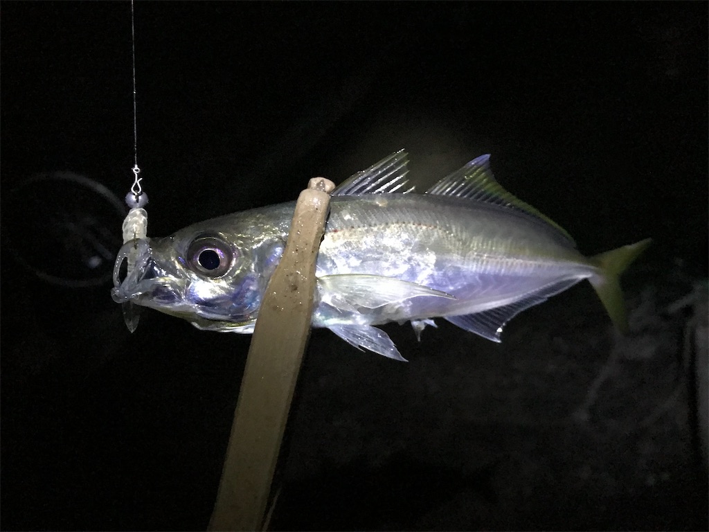 f:id:esojima3:20191231013810j:image