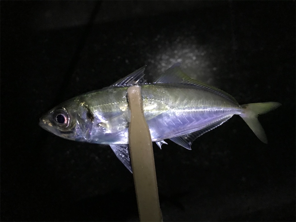 f:id:esojima3:20191231013812j:image